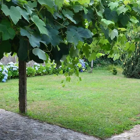 Casa Das Hortensias Vila Nova de Cerveira