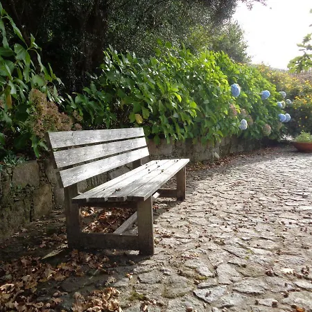 Casa Das Hortensias